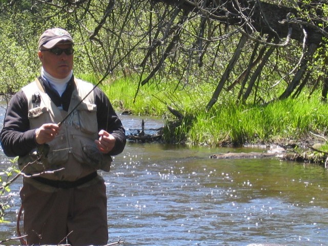 Part 1: Layers of Managing Michigan’s Wildlife